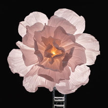 Load image into Gallery viewer, pink Giant Paper flower wedding flower backdrop