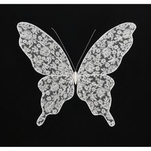 Load image into Gallery viewer, Butterfly on Black Background