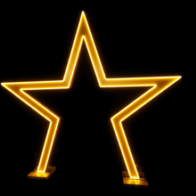 Load image into Gallery viewer, gold star backdrop for birthday party