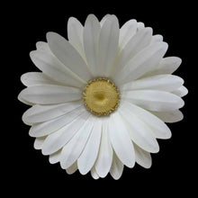 Load image into Gallery viewer, White Paper Daisy Flower Crafts for Wedding and Event Wall Decor
