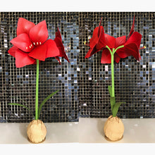 Load image into Gallery viewer, amaryllis flower holiday decor 
