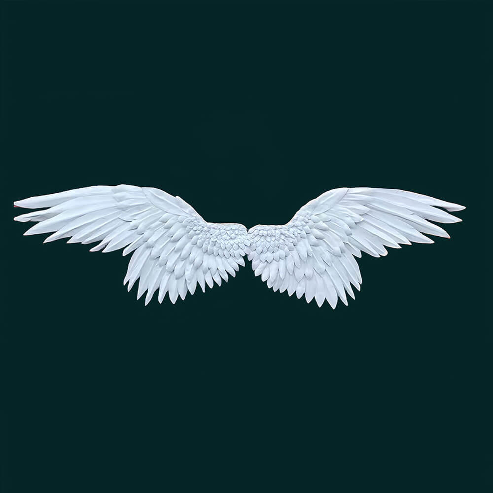 eva angel wings decoration for wedding 