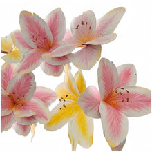 Load image into Gallery viewer, Giant paper flower wall backdrop set - 6 piece spring decoration for weddings and events
