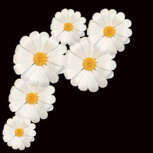 Load image into Gallery viewer, Giant waterproof EVA daisy flowers wall decor for party, wedding and event decoration - 16-24 inch reusable flower decorations
