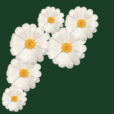 large daisy flowers wall decorations 