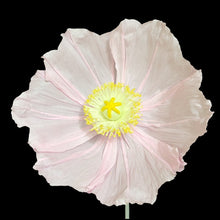 Load image into Gallery viewer, giant paper flower craft party decoration
